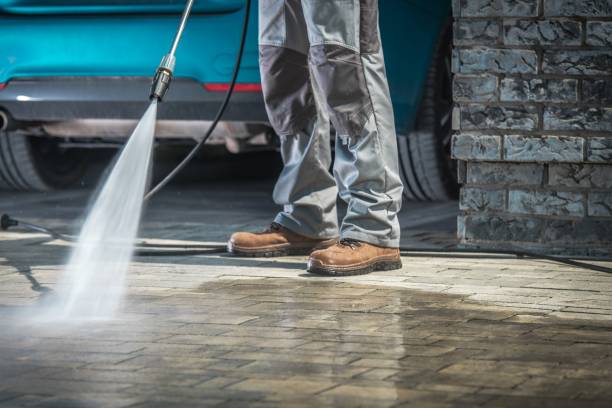 Best Gutter Cleaning  in Elkton, VA