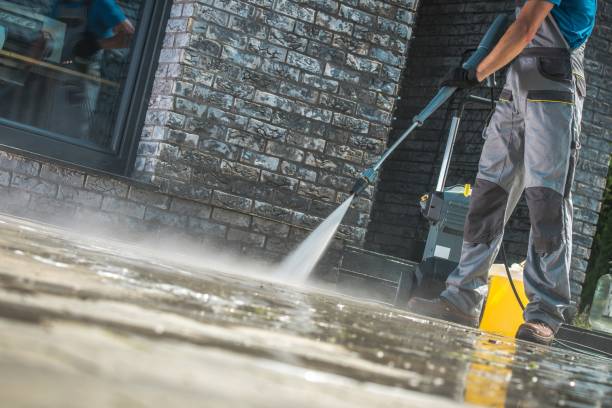 Best House Exterior Washing  in Elkton, VA