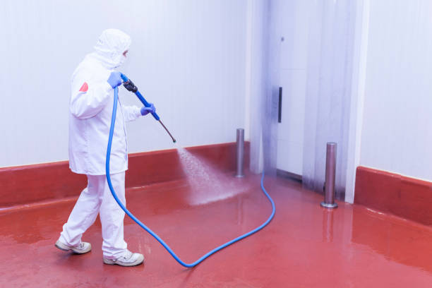 Best Solar Panel Cleaning  in Elkton, VA