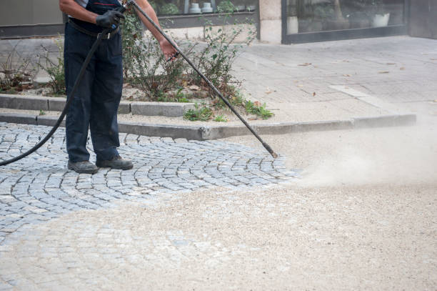 Best Sidewalk and Walkway Cleaning  in Elkton, VA