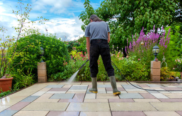 Elkton, VA  Pressure Washing Services Company